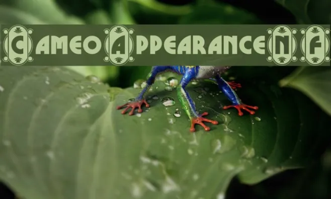CameoAppearanceNF Example 2