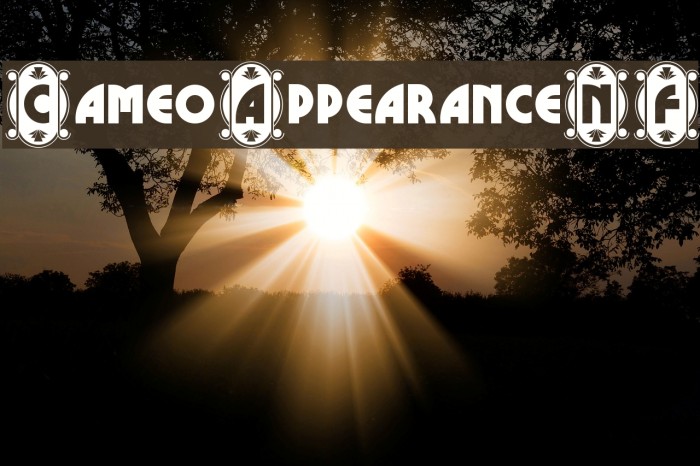 CameoAppearanceNF Font examples