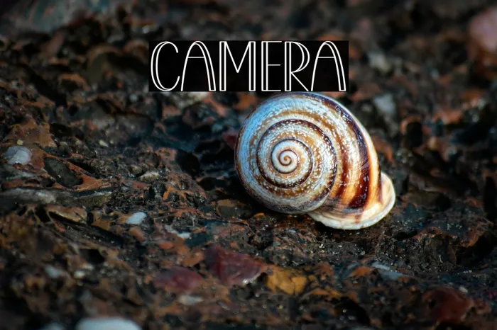 Camera Example 2