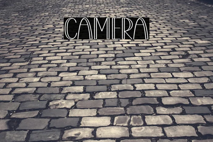Camera Example 3
