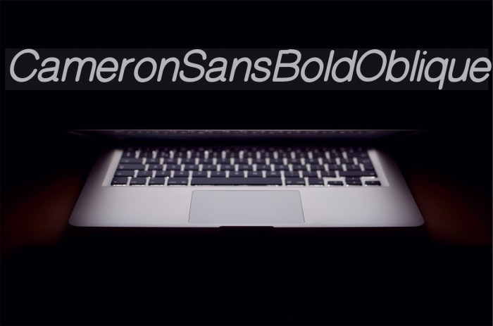 CameronSansBoldOblique Font examples