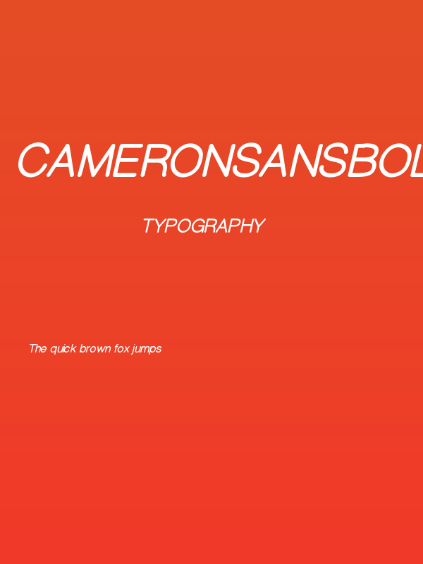 CameronSansBoldOblique Poster