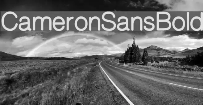 CameronSansBold Font examples