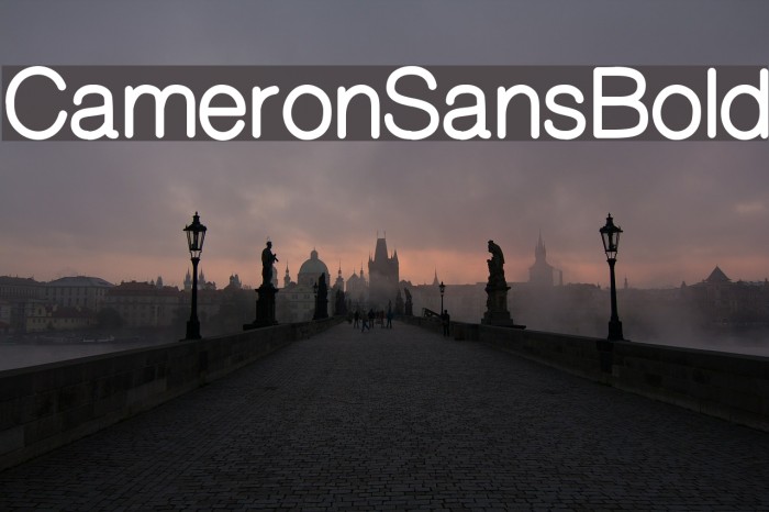 CameronSansBold Font examples