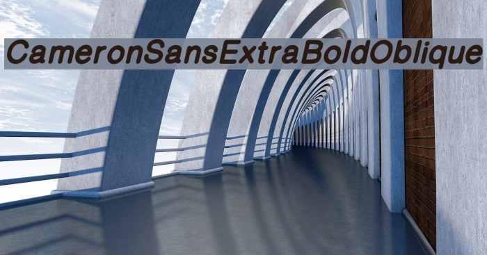 CameronSansExtraBoldOblique Font examples
