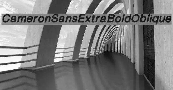 CameronSansExtraBoldOblique examples