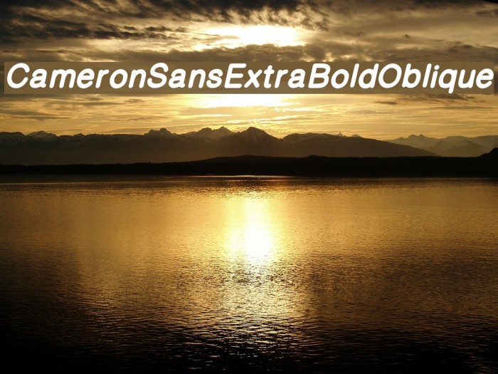 CameronSansExtraBoldOblique Font examples