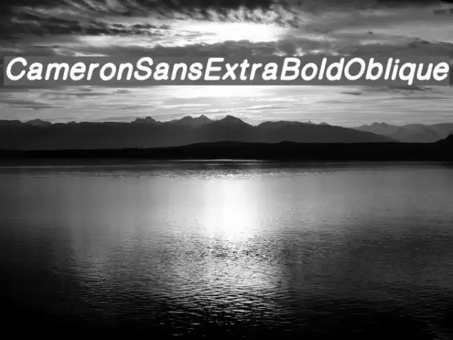 CameronSansExtraBoldOblique examples
