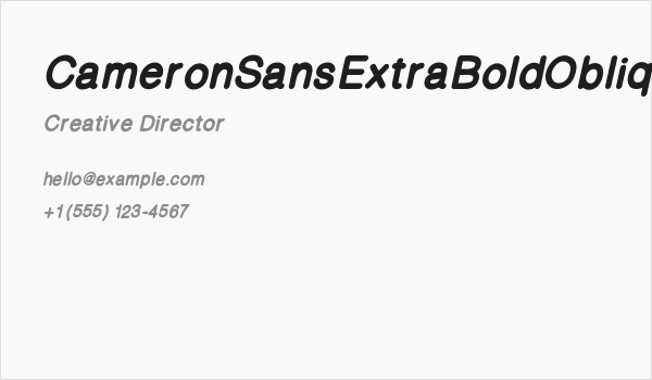 CameronSansExtraBoldOblique Business Card
