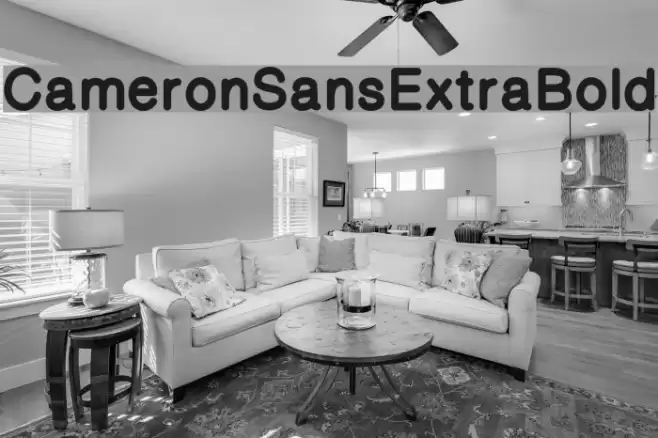 CameronSansExtraBold Font examples