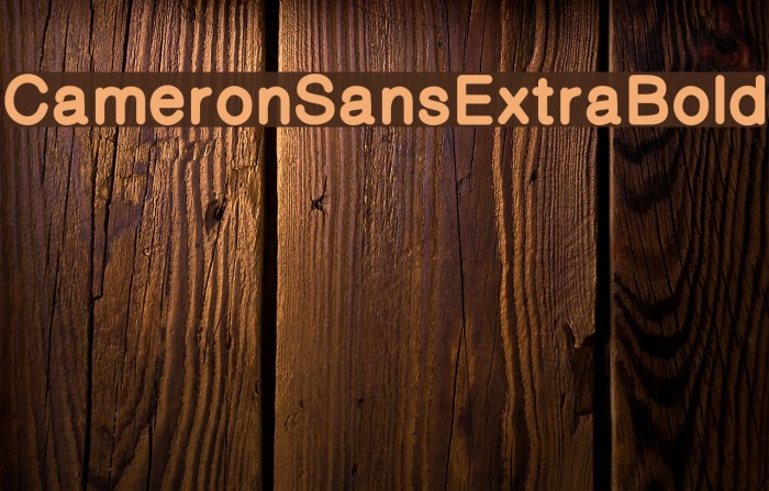 CameronSansExtraBold Font examples