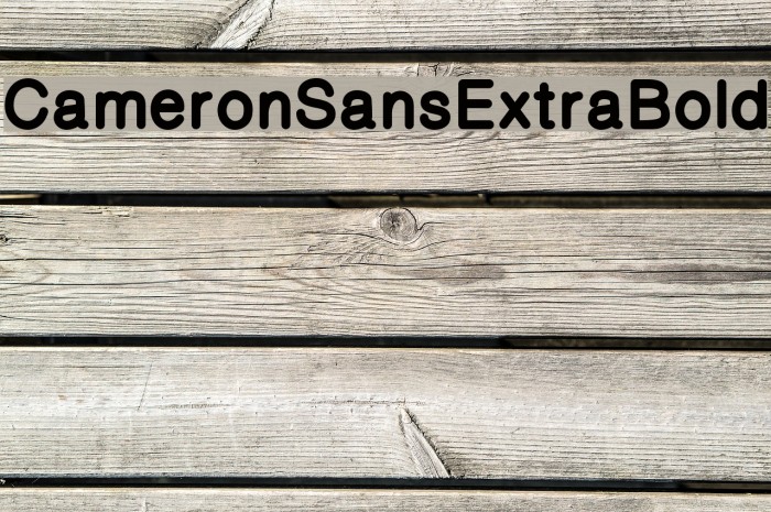 CameronSansExtraBold Font examples