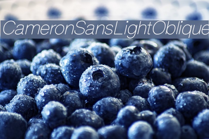 CameronSansLightOblique Font examples