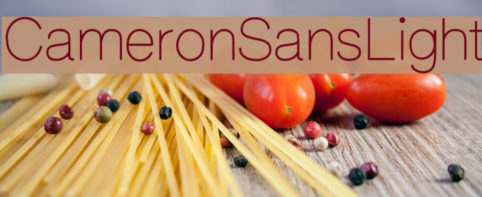 CameronSansLight Font examples