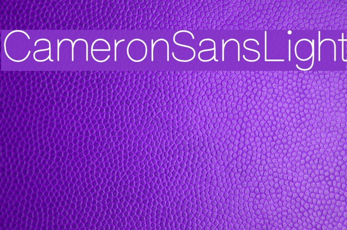 CameronSansLight Font examples