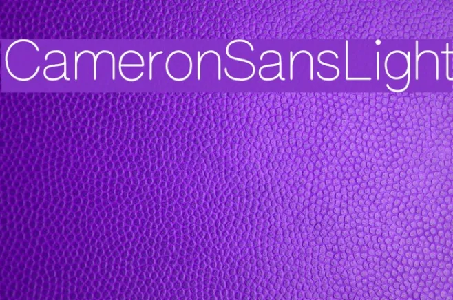 CameronSansLight Example 3