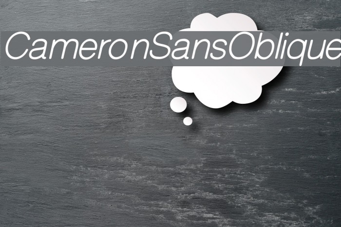 CameronSansOblique Font examples