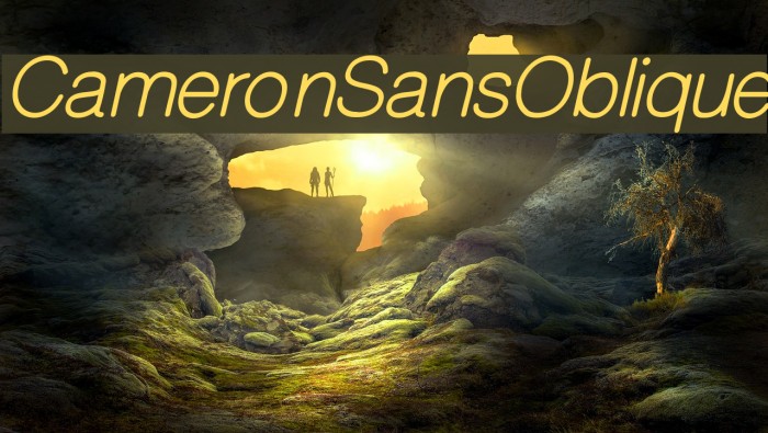 CameronSansOblique Font examples