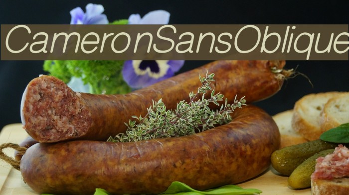 CameronSansOblique Font examples