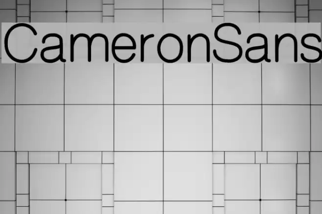 CameronSans Schriftart examples