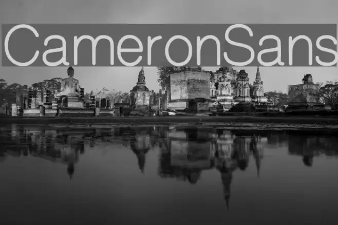 CameronSans Schriftart examples