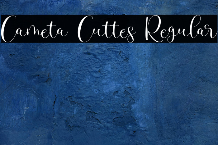 Cameta Cuttes Regular Example 1