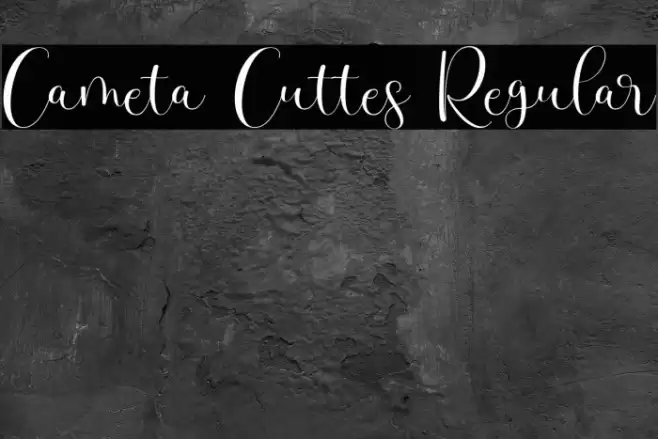 Cameta Cuttes Regular Font examples