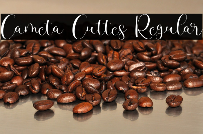 Cameta Cuttes Regular Example 2