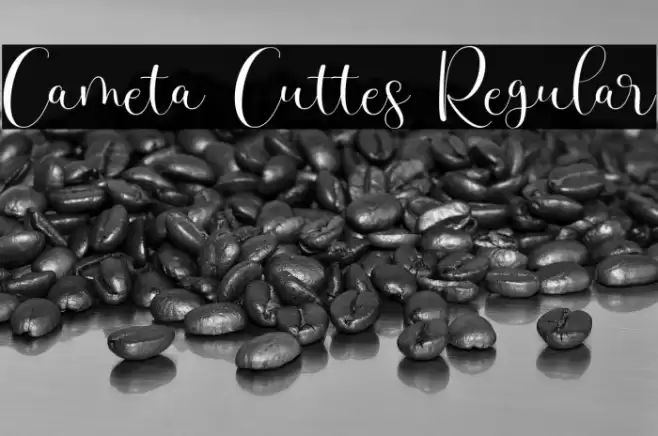 Cameta Cuttes Regular Font examples