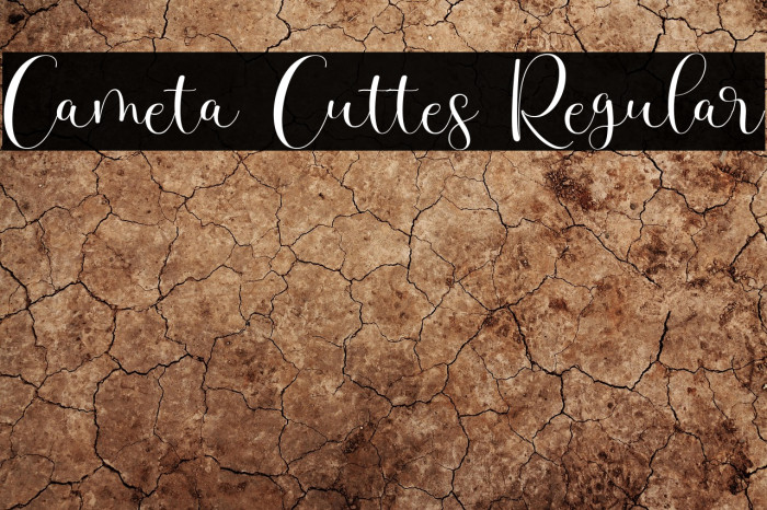 Cameta Cuttes Regular Example 3