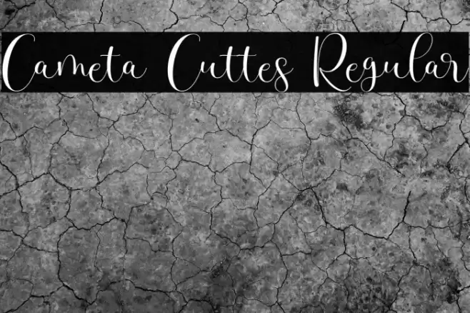 Cameta Cuttes Regular Font examples