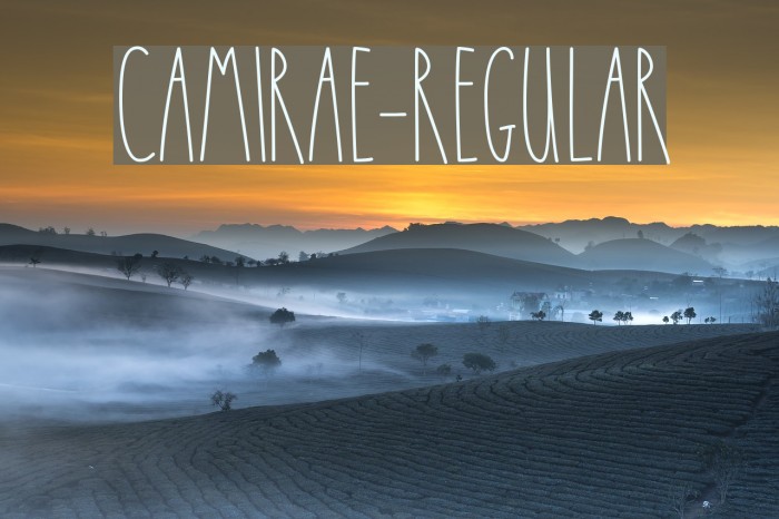 CamiRae-Regular Font examples