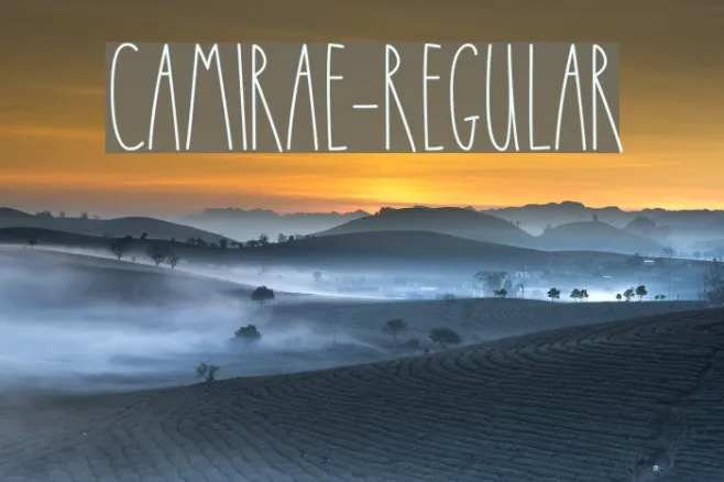 CamiRae-Regular Example 1