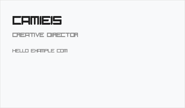 Camieis Business Card