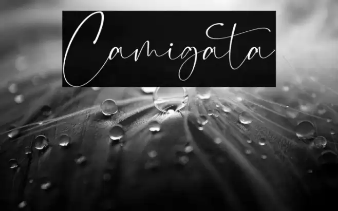 Camigata Font examples