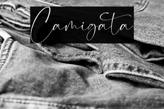 Camigata Font examples