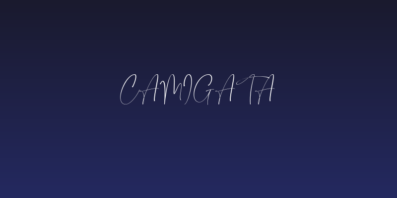 Camigata Social Header