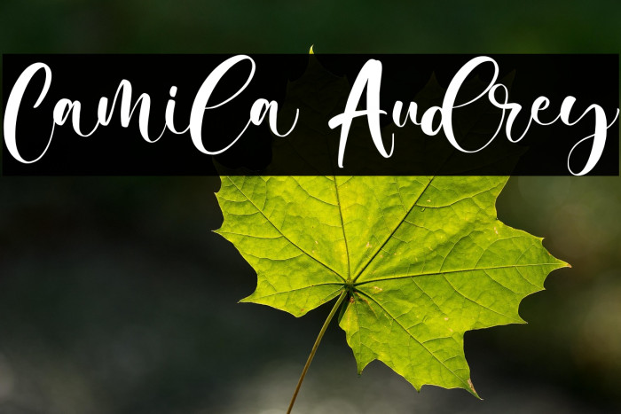 Camila Audrey Example 1