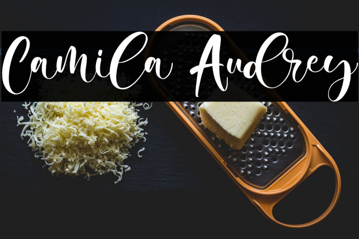 Camila Audrey Example 2