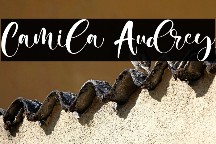 Camila Audrey Example 3