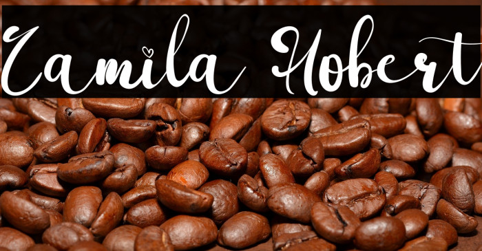 Camila Hobert Example 1