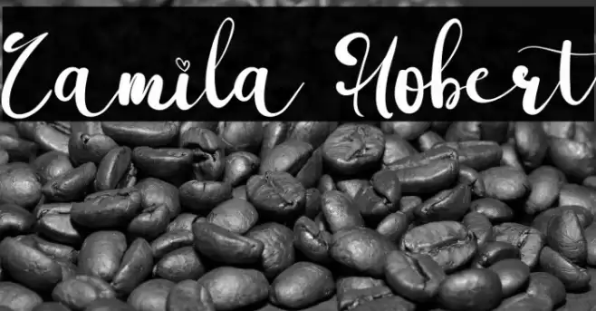 Camila Hobert Font examples