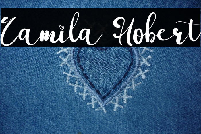 Camila Hobert Example 2