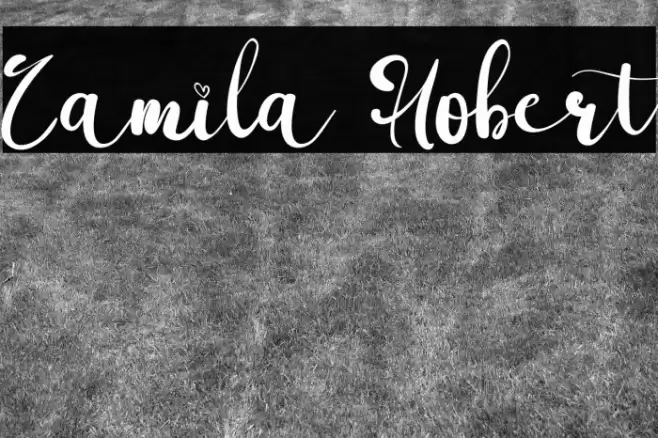 Camila Hobert Font examples
