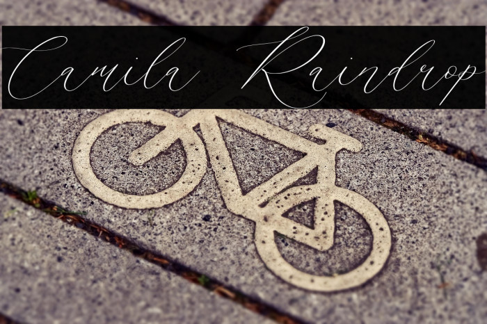 Camila Raindrop Example 3