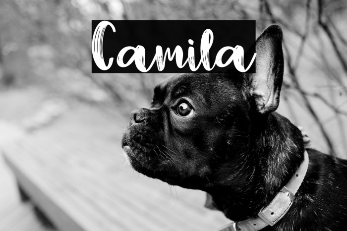 Camila Example 1