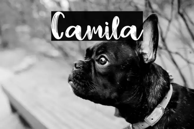 Camila Font examples