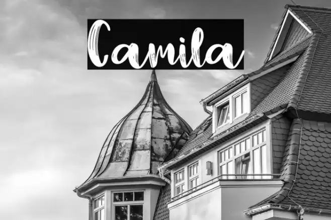 Camila Font examples