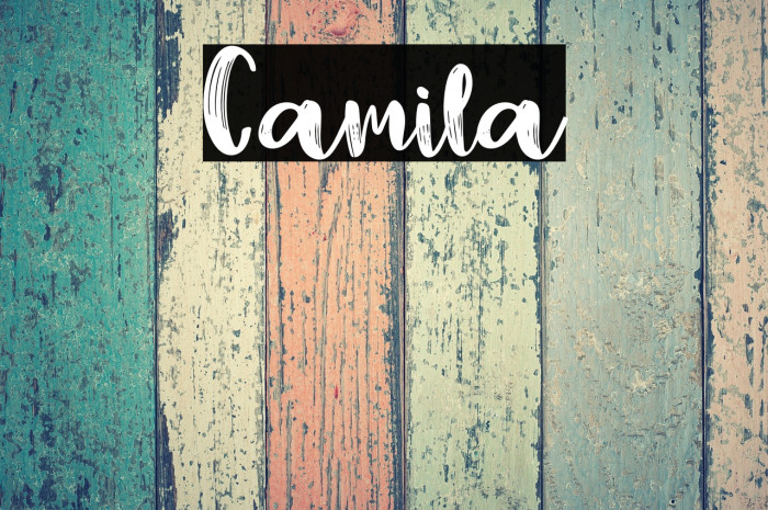 Camila Example 3
