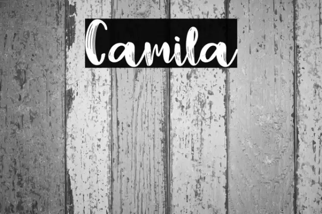 Camila Font examples